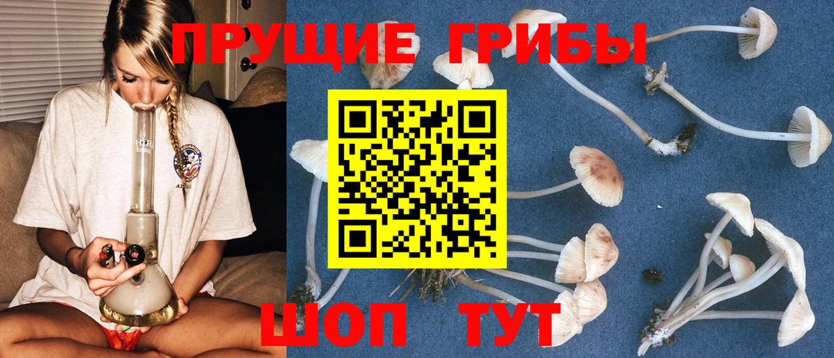 Галлюциногенные грибы мицелий Ноябрьск